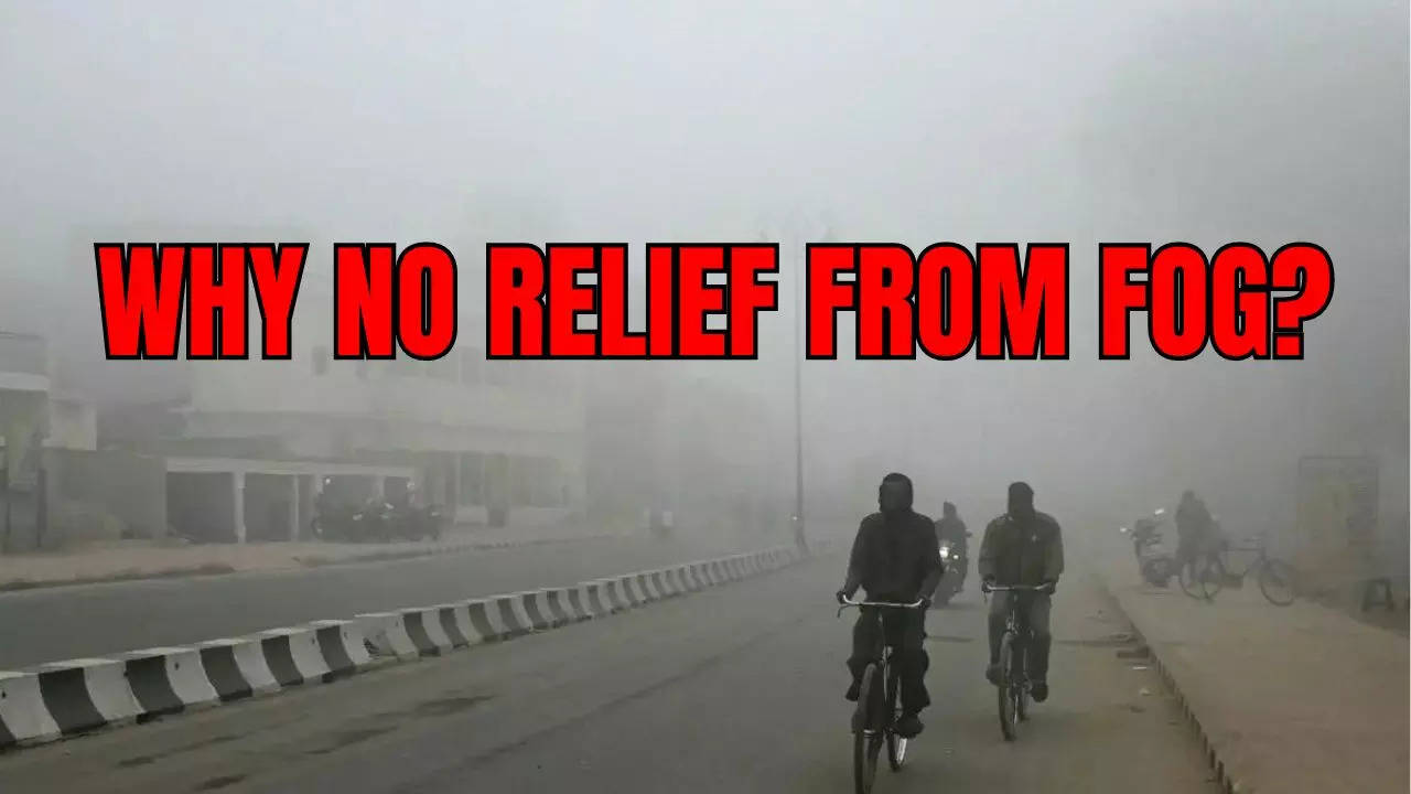 DELHI FOG  (Representational)