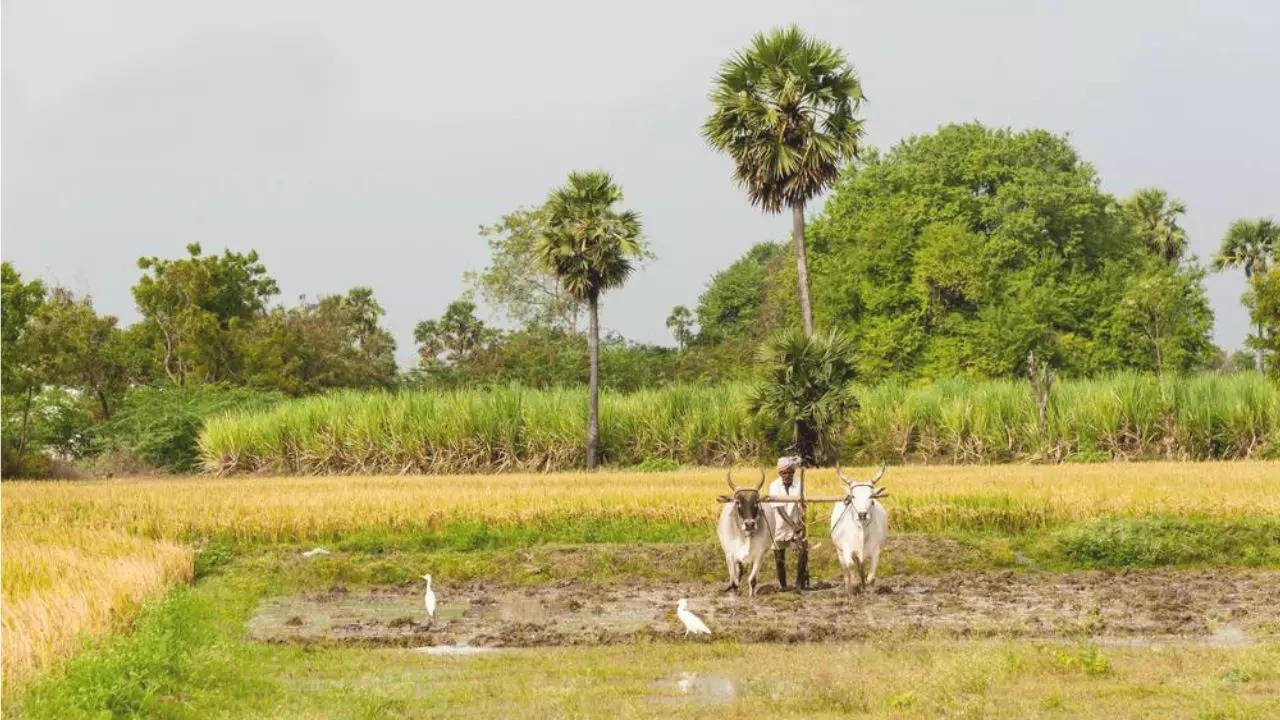 How much agricultural land can a person hold in Tamil Nadu