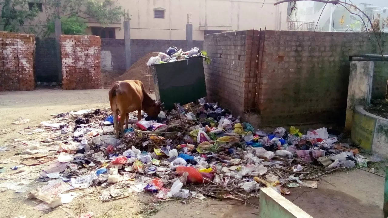 Dumpster diving-related data breaches can be prevented through a series of measures. | Representative image: Kiruba Arun/Getty