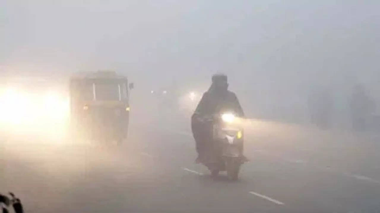 cold wave in north india