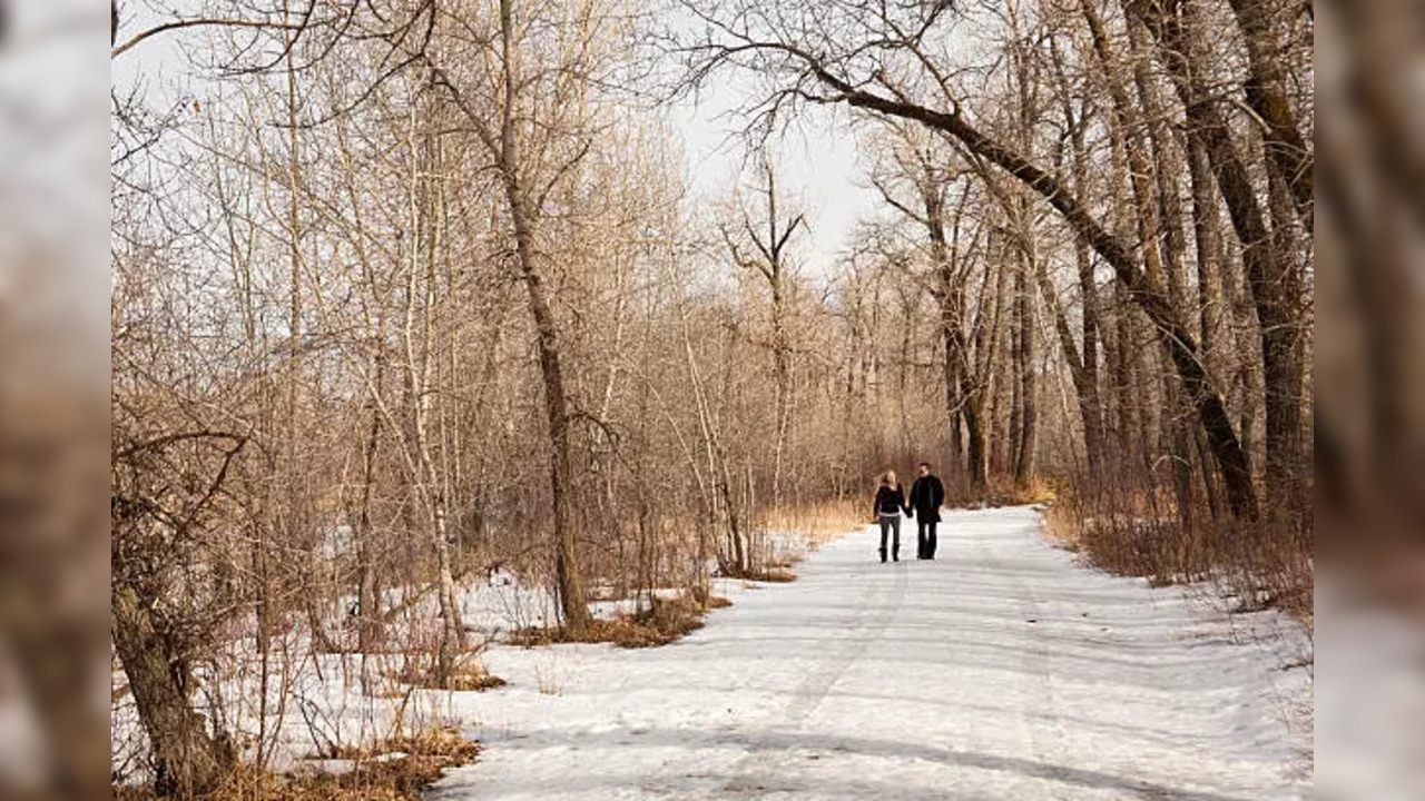 benefits of winter walking