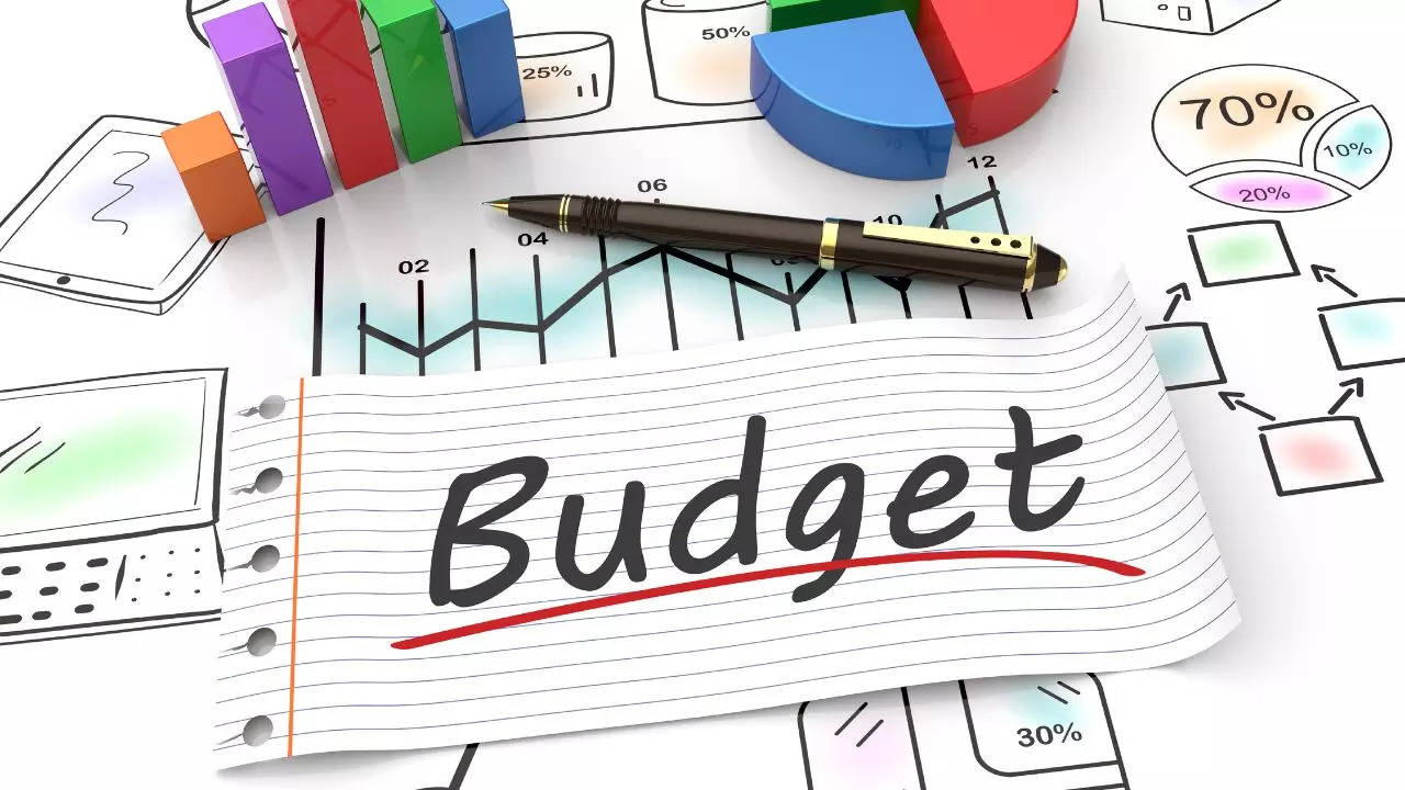 Budget 2024: Education Sector Seeks Higher Budgetary Allocation, Easy Student Loans among others