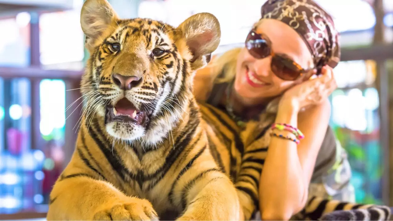 A woman poses with a tiger in Thailand. Credit: iStock