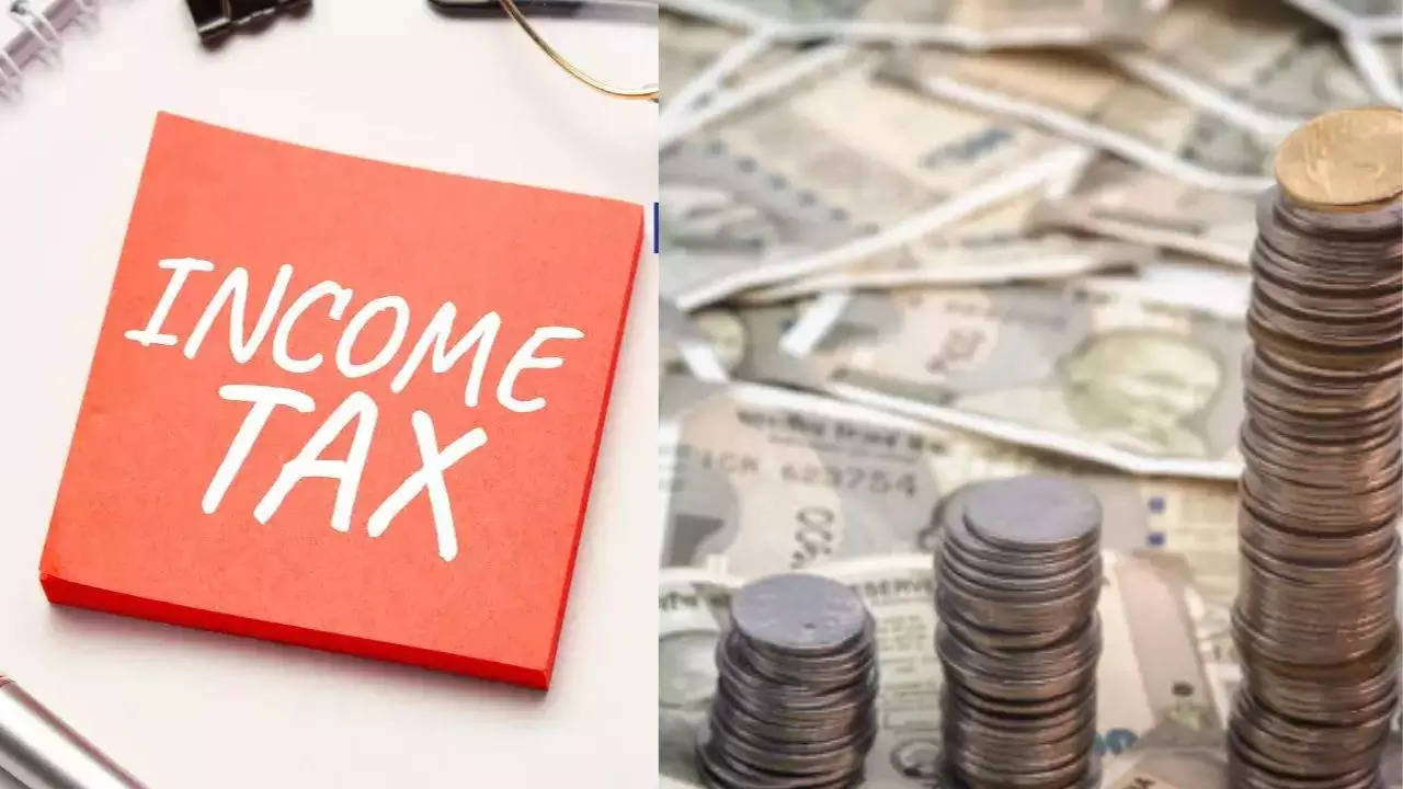 Income Tax Portal