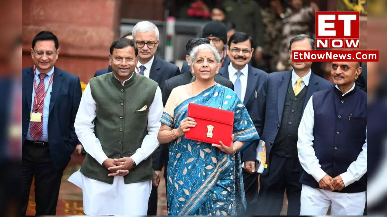 Important Announcements In Nirmala Sitharaman's Interim BudgetSpeech