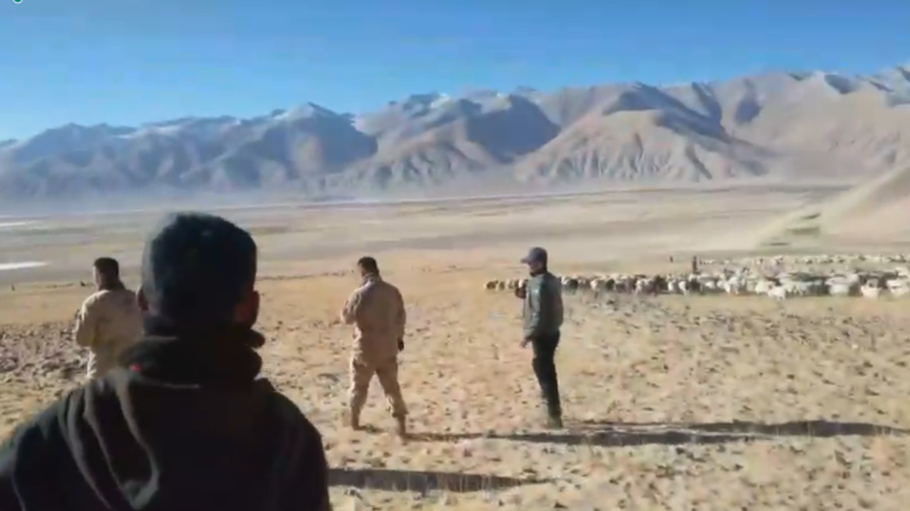 Ladakh Shepherds