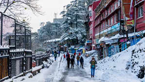Planning A Trip To Shimla Heres What To Explore In This Snowy Winterland