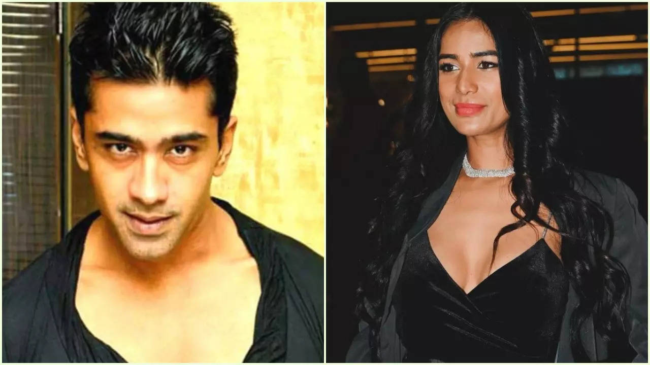 Lock Upp Fame Vinit Kakar Calls Poonam Pandey's Death News 'Fake'