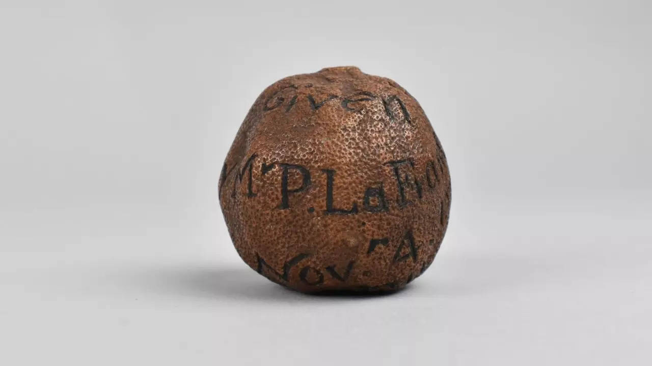 The 1739 lemon was likely brought to the UK from British colonial India as a gift. Courtesy: Brettells Auctioneers