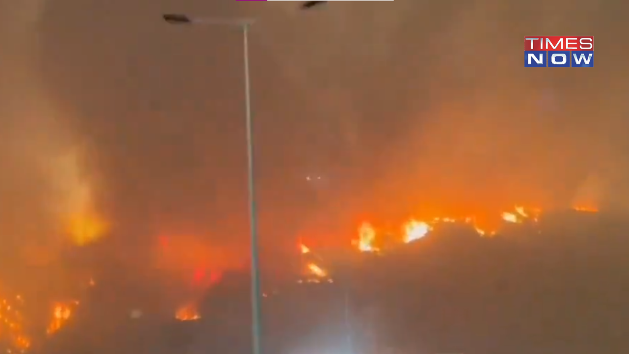 Chile Declares State of Emergency After Forest Fires, At Least 10 Feared Dead