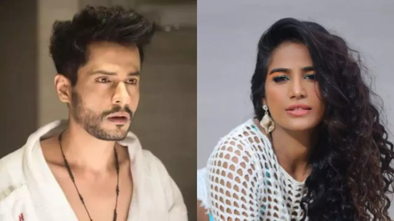 Shardul Pandit Posts ANGRY Video After Poonam Pandey Confirms She's Alive: 'My Mom Died Of Cancer'