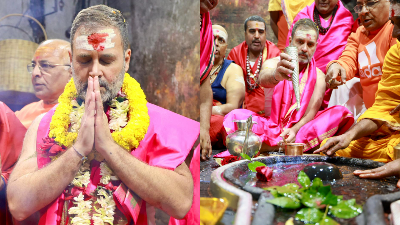 Video Rahul Gandhi Offers Prayers Participates In Rudrabhishek At