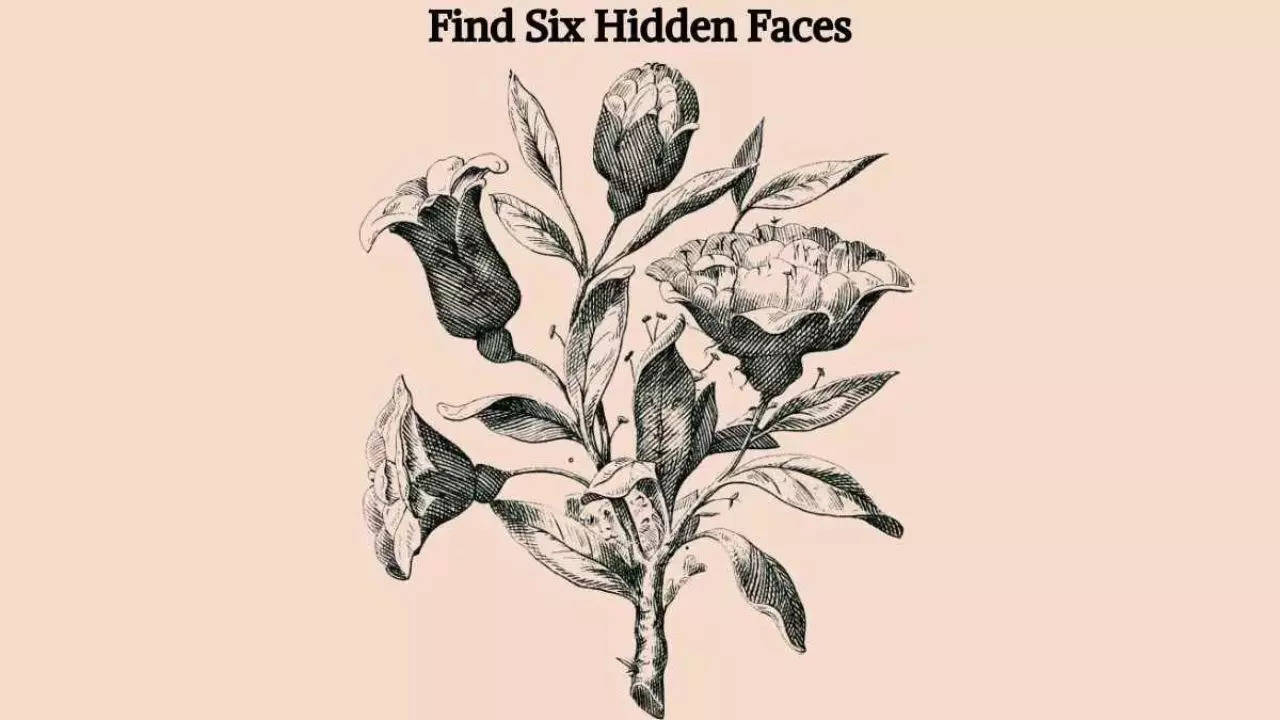 Optical Illusion Test: Challenge Yourself And Find Six Hidden Faces In 9 Seconds Flat