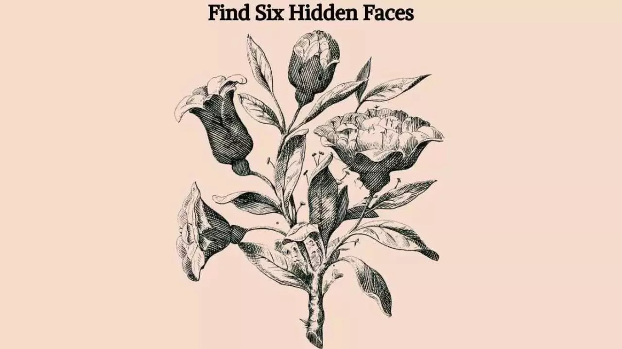 Optical Illusion Test: Challenge Yourself And Find Six Hidden Faces In 9 Seconds Flat