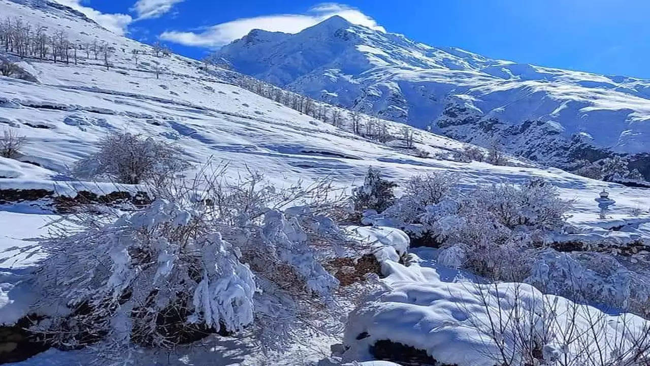 Heavy Snowfall Warning Issued In Himachal