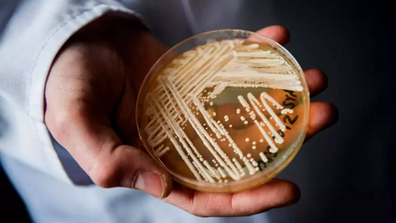 A dangerous fungal illness that is spreading across the U.S. has found its way to Washington state for the first time.