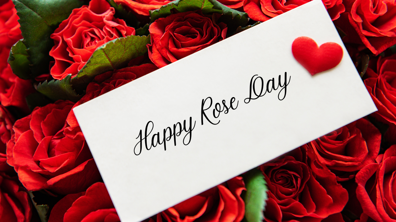 Happy Rose Day Wishes. Pic Credit: Canva