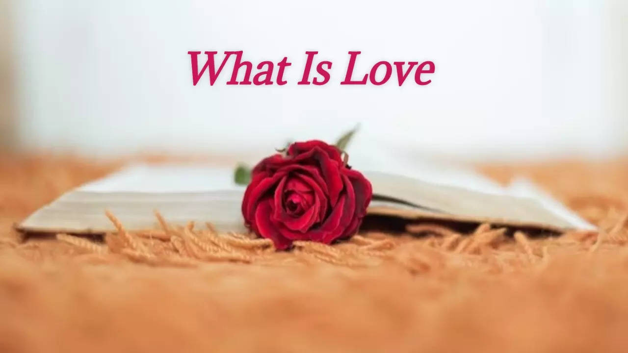 valentine day special is love complicated what is love in marathi