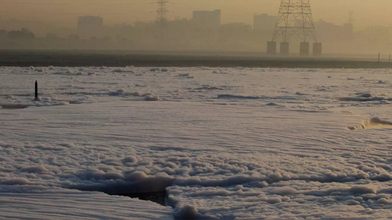 Yamuna Pollution