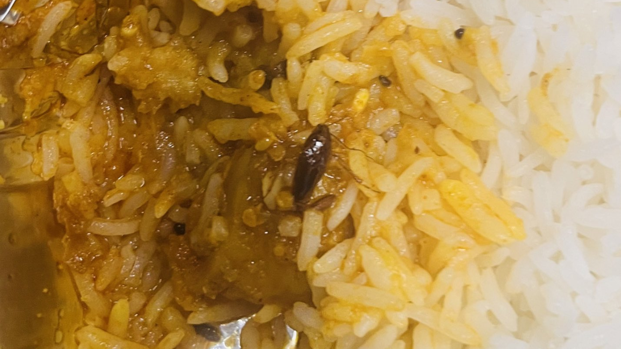 Passenger finds cockroach in meal served on Vande Bharat Express.