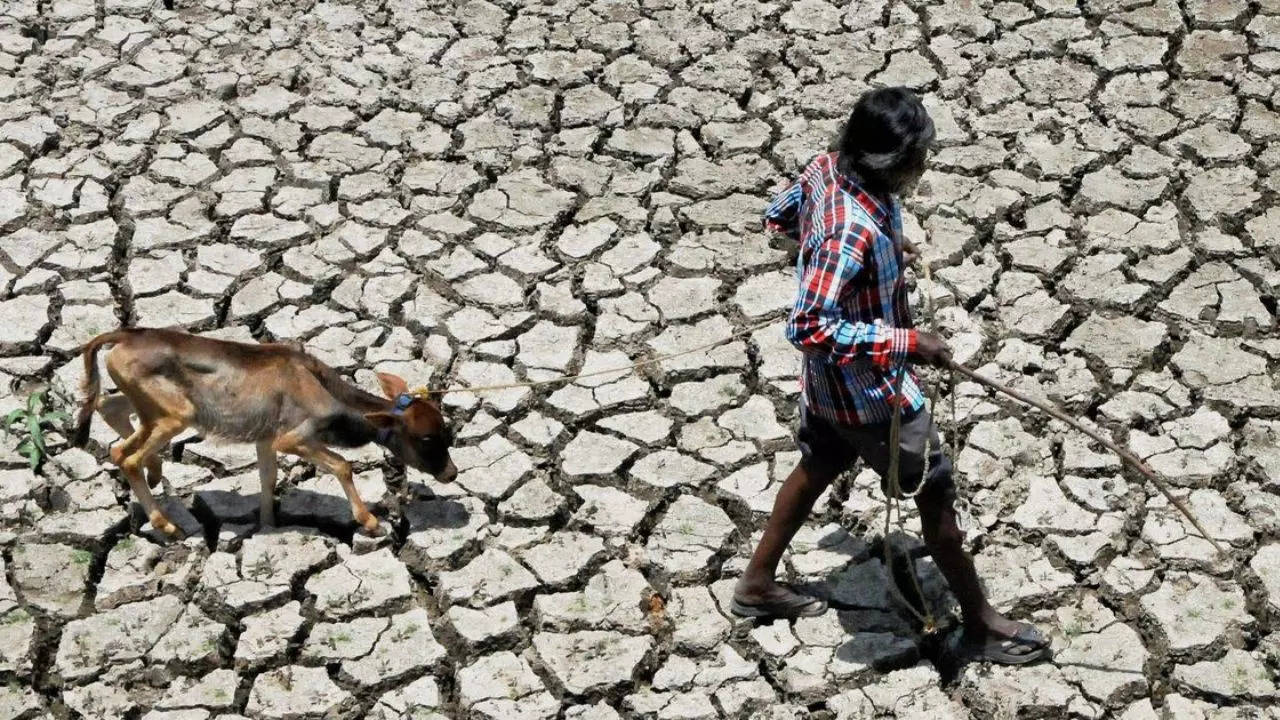 Karnataka drought