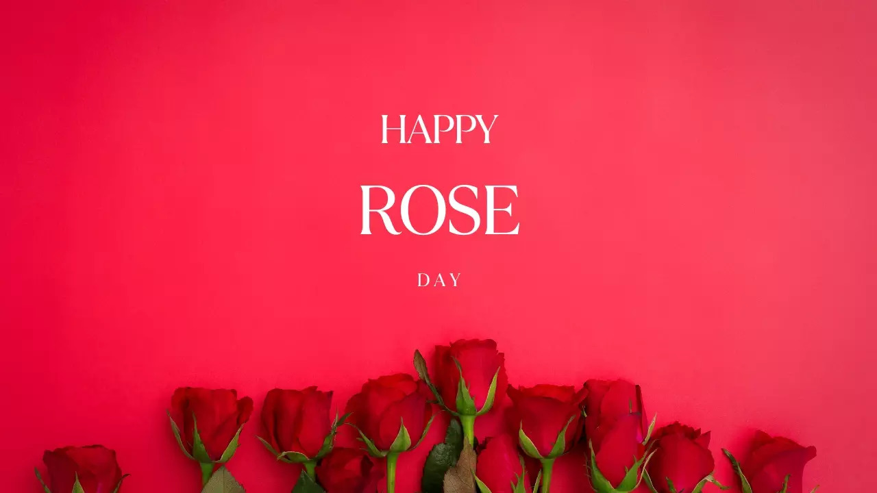 Rose Day marks the beginning of the Valentine's Week on February 7. | Courtesy: tatchai/Getty Images