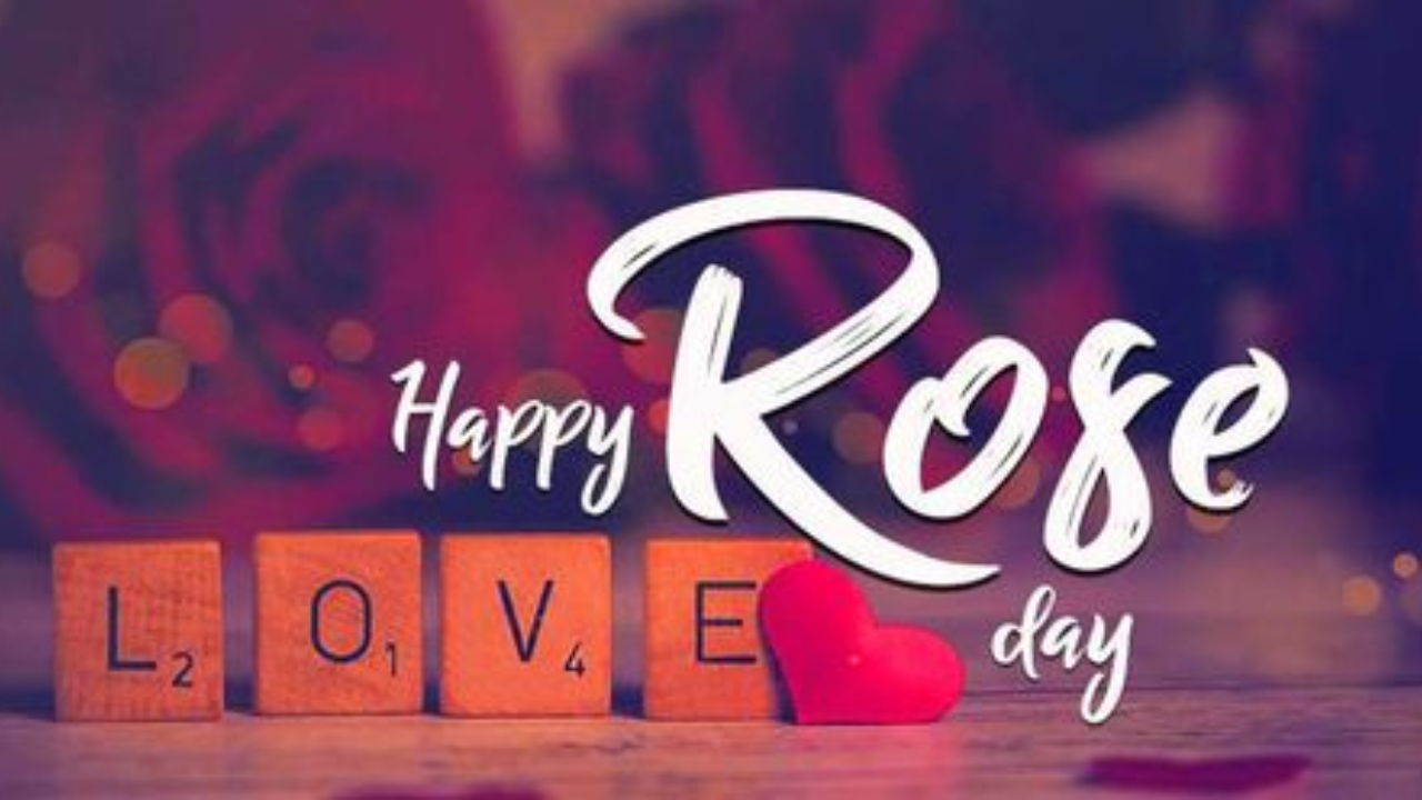 Happy Rose Day 2024: Wishes, Messages, Quotes, Images, Facebook & WhatsApp Status