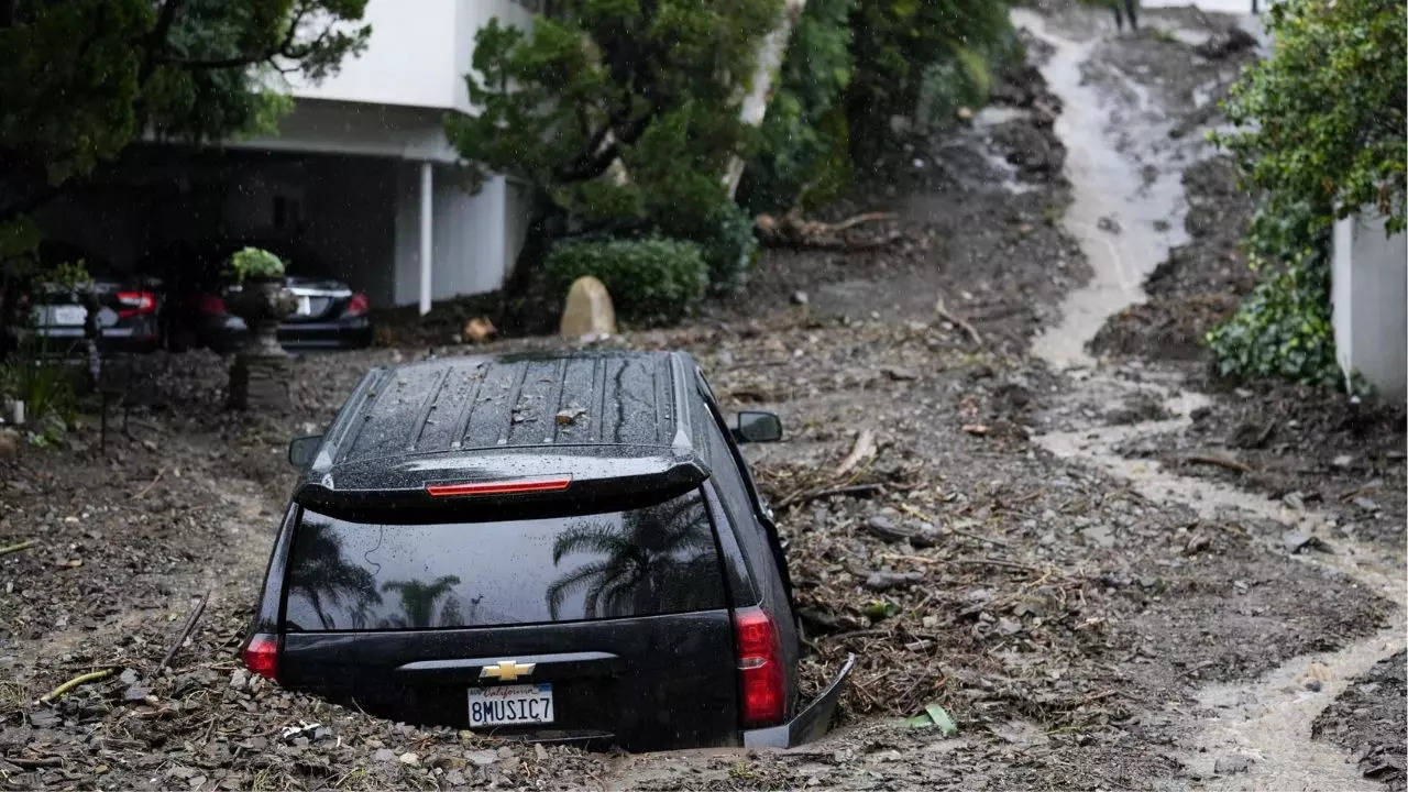 LA Storm