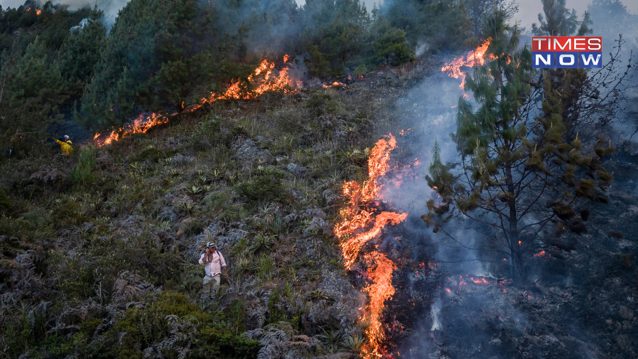 Chile Wildfire Deadliest On Record Since 2010 Earthquake, Death Toll Climbs To 131