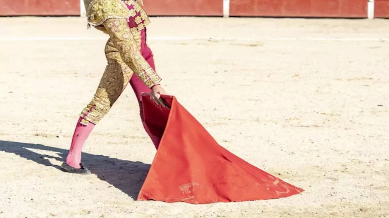 Why Does A Bull Charge At A Red Cloth