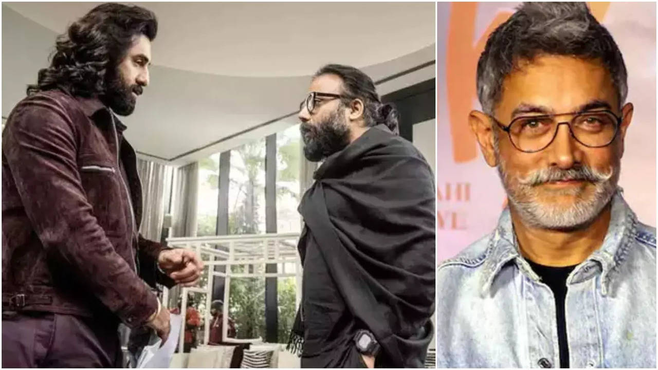 Why is Sandeep Reddy Vanga taunting Aamir Khan?