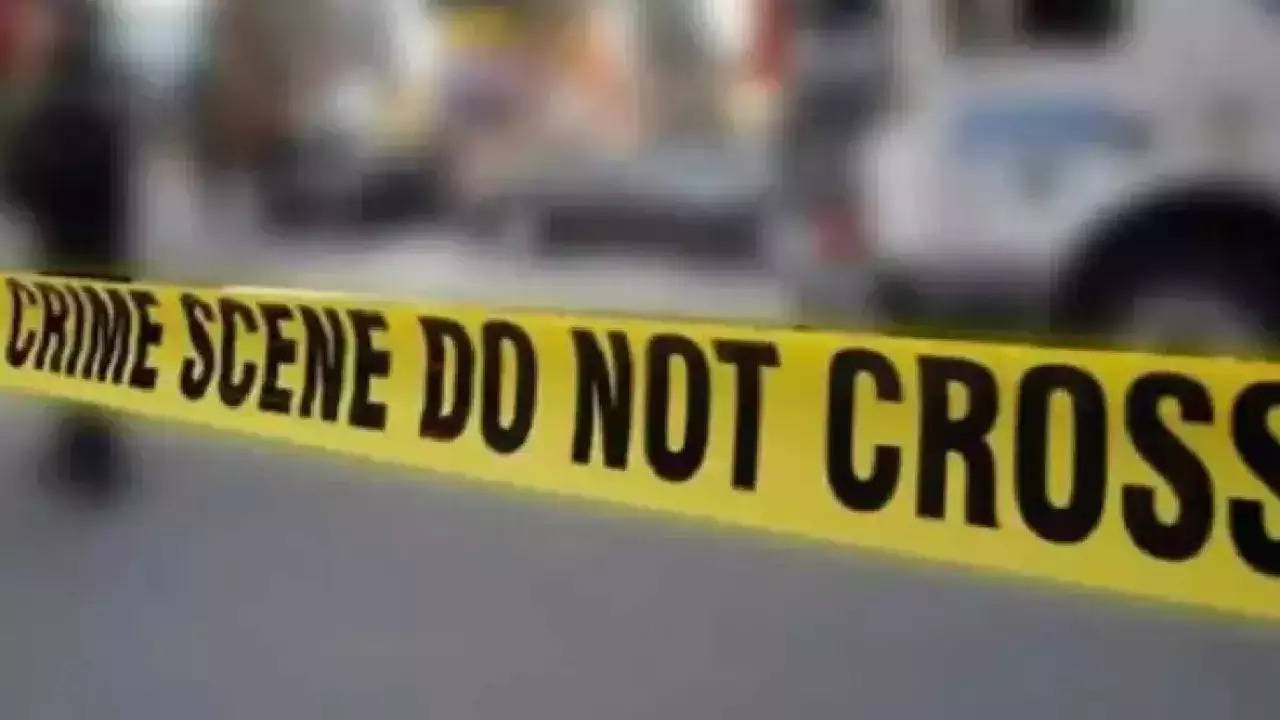 Angry Over Losing Cricket Match, Rajasthan Man Kills Teen With Bat