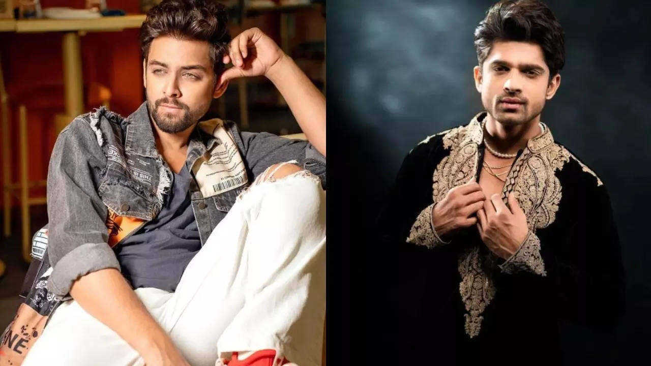 Samarth Jurel Reveals REAL Reason Behind Not Attending BB 17 Fame Abhishek Kumar's Party