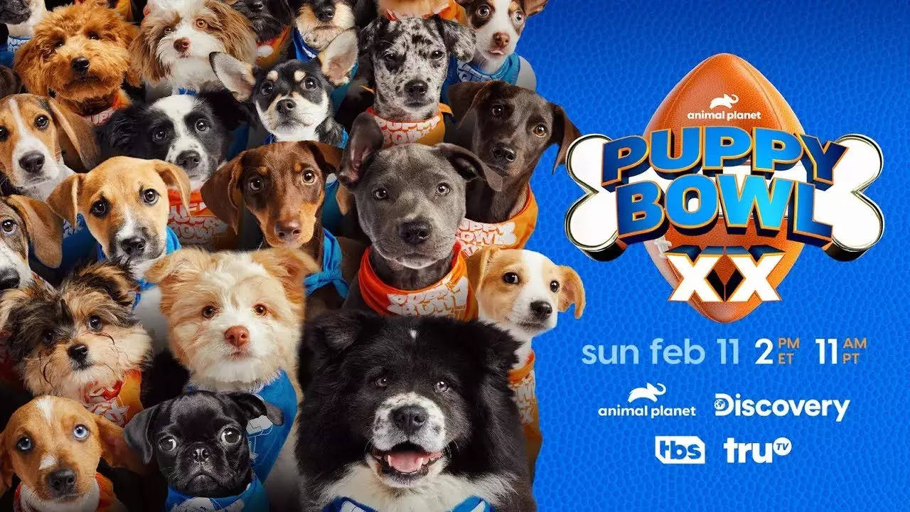 Puppy Bowl XX Roster