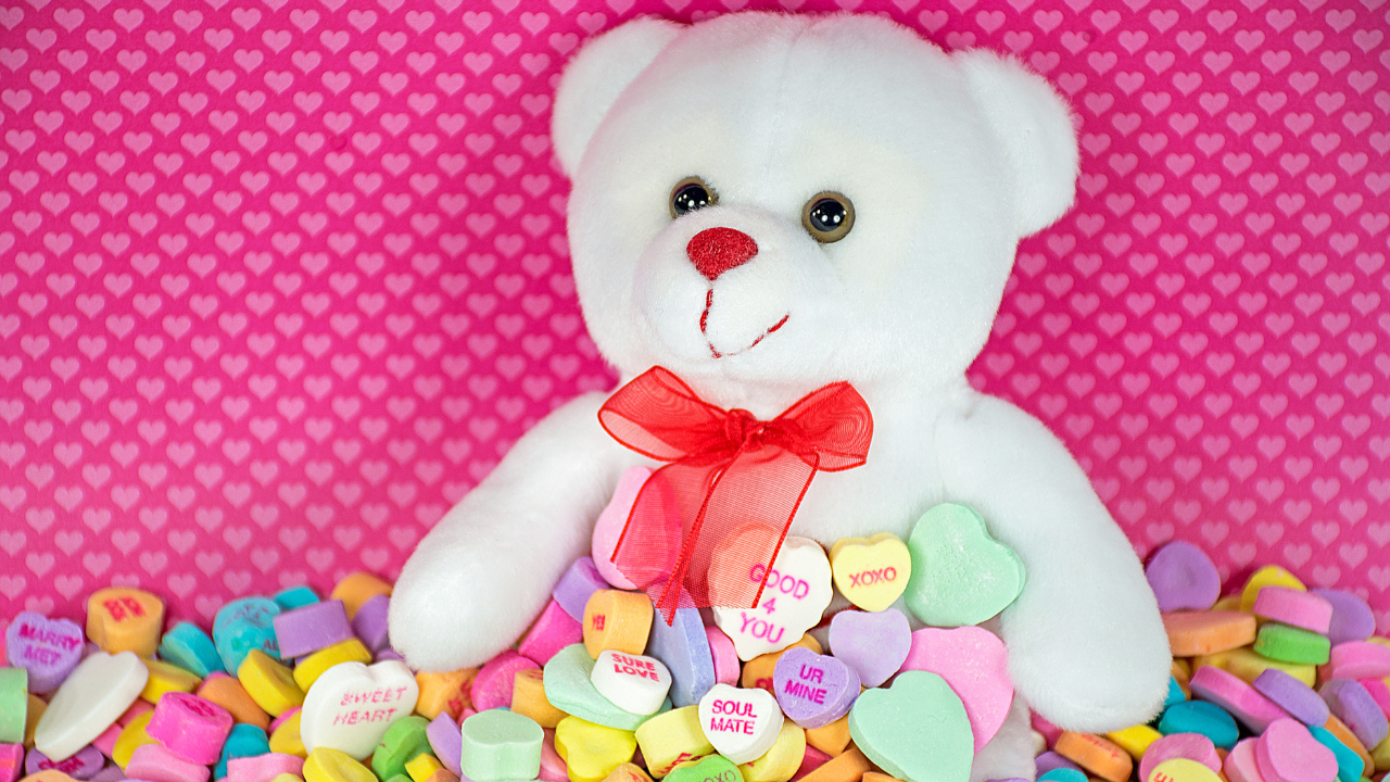 Happy Teddy Day Date, History, Significance and Why we celebrate. Pic Credit: Canva