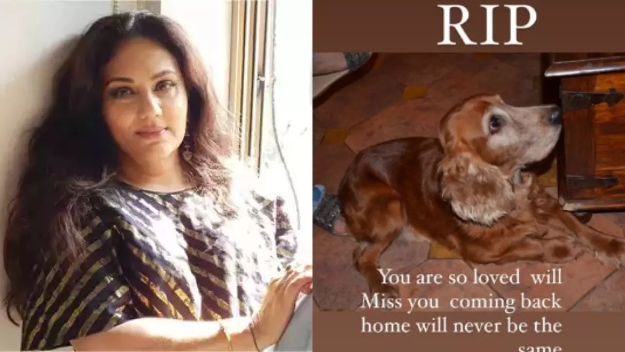 Ramayan's Dipika Chikhlia Mourns Her Pet Dog's Death: 'Coming Back Home Will...'