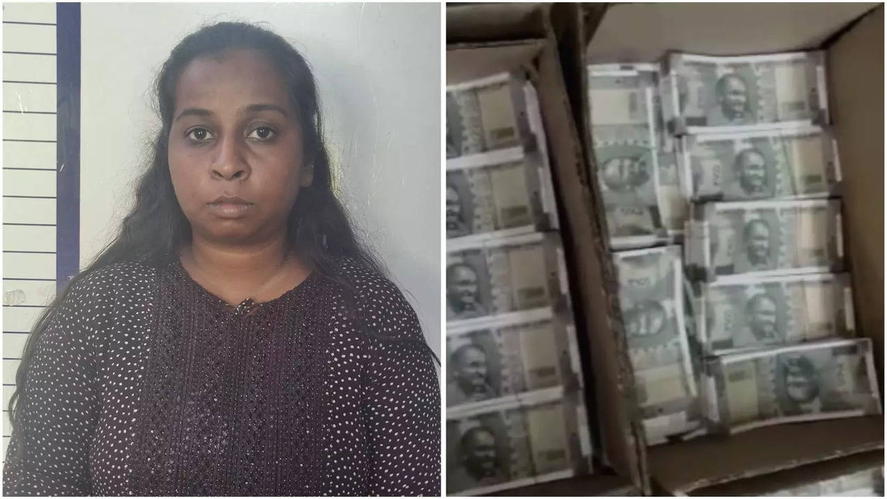 How TN Woman Cheated People Of Lakhs With Loan Scam