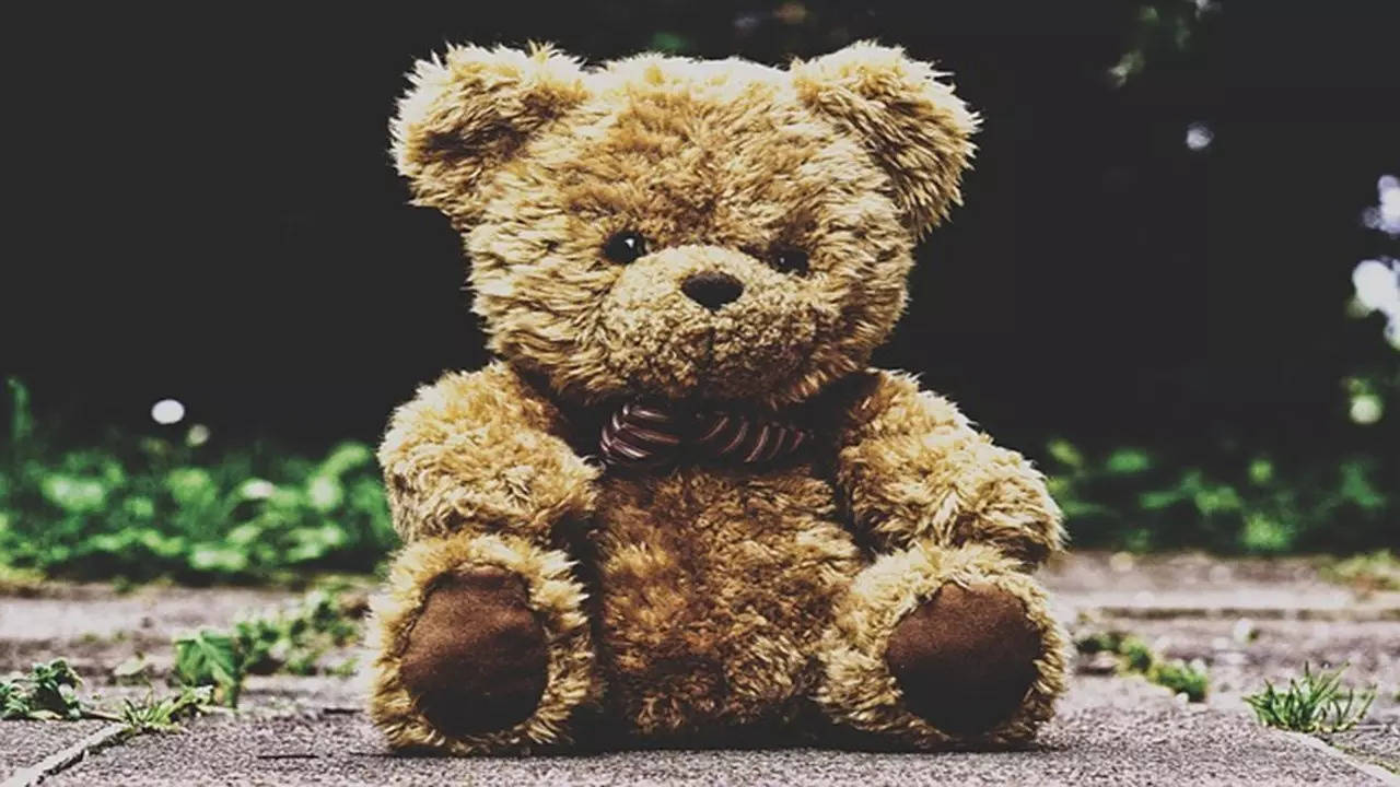 Teddy Day 2024 (Photo: Pixabay)