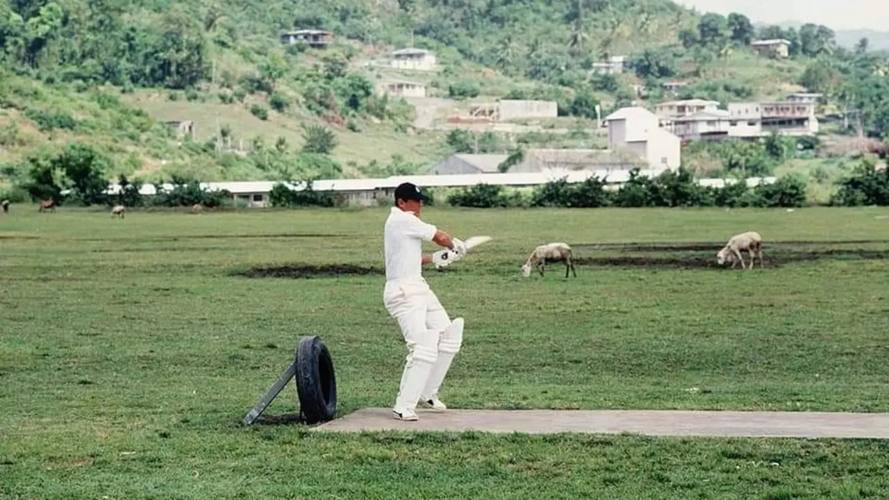 West Indies Cricket Match Suspended After Cows Damage Pitch