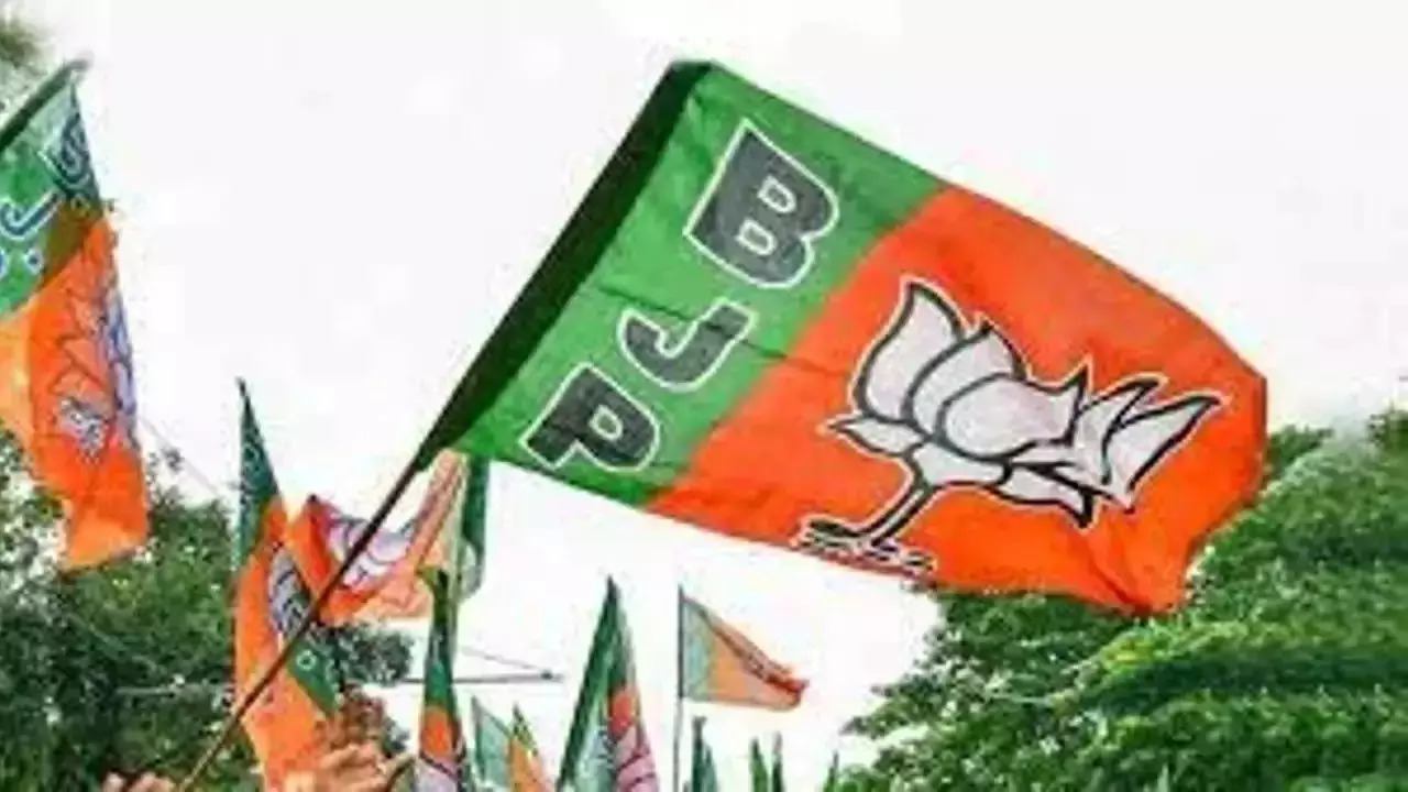 BJP flag