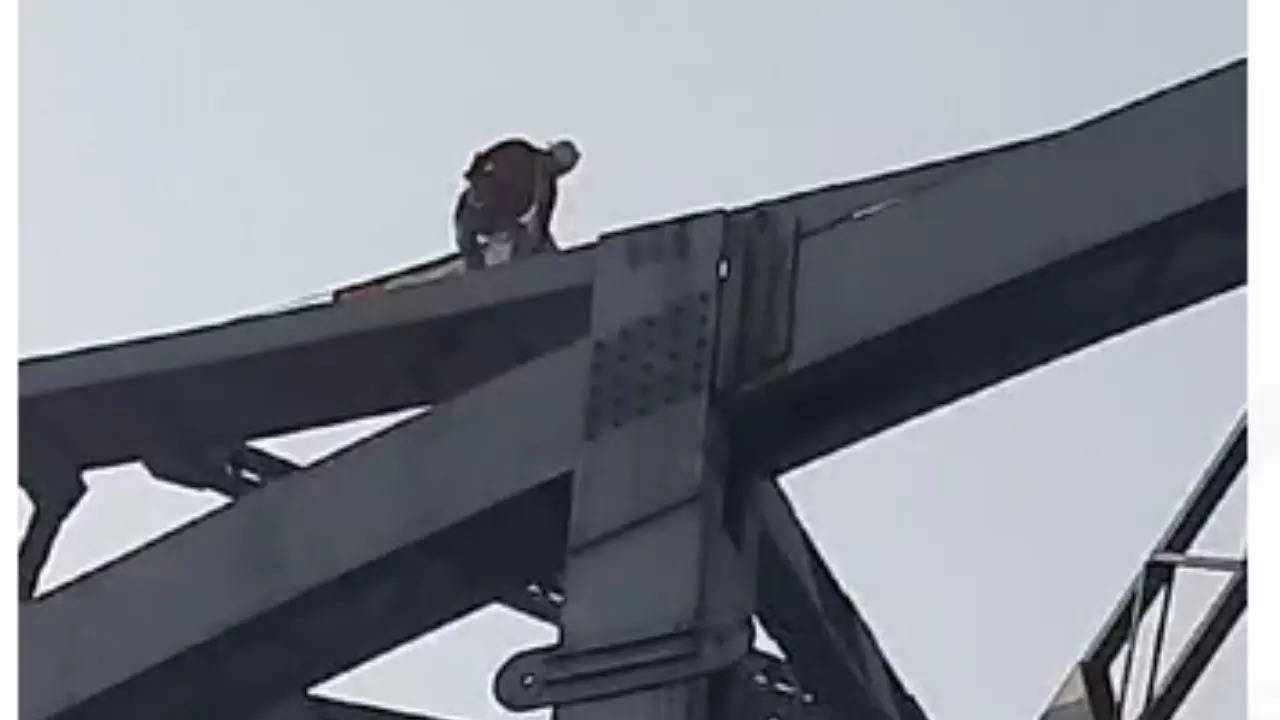 Kolkata Man Climbs Bridge To End Life Over 'Failed' Promise