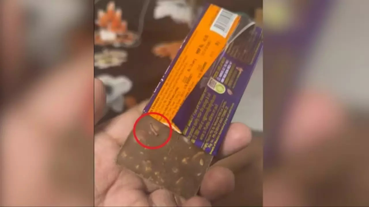 worm in Cadbury chocolate