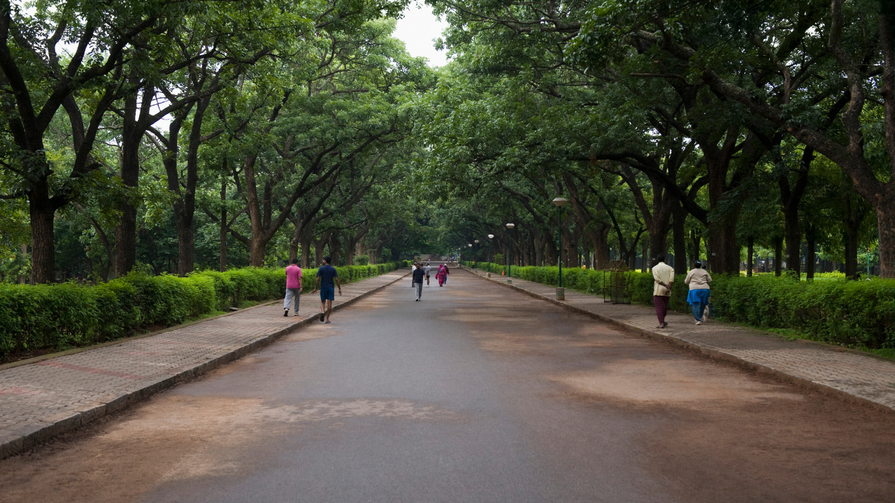 Bengaluru Government Reverses Ban On Traffic Inside Cubbon Park On THESE Days |Details