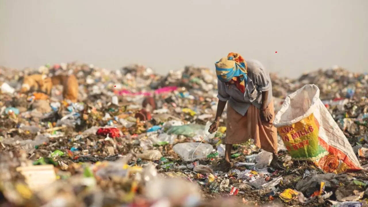 குப்பை பொறுக்குபவர்களுக்கு ஒரு நாளைக்கு ரூ.1.5 கோடி வருமானம்.. எந்த