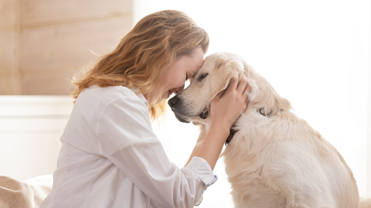 Know why science believes women to be a dog's best friend more than men's. Pic Credit: Canva