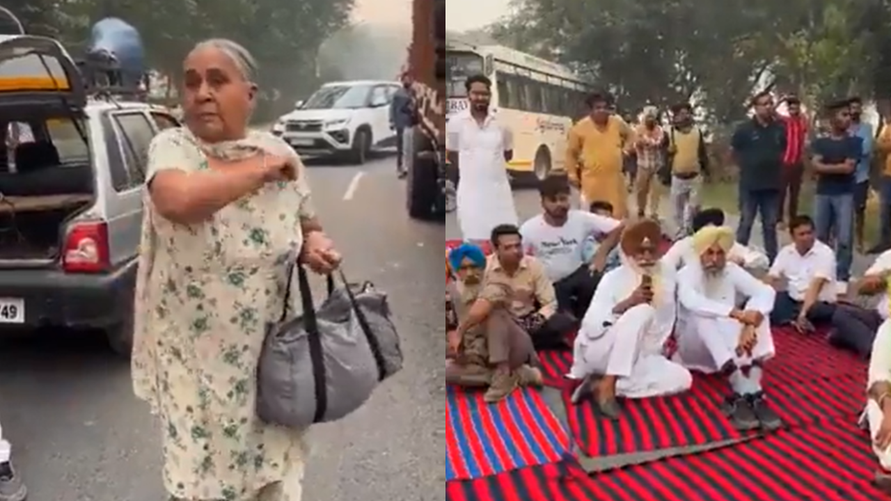 Amid Farmers' Protest, Video Of Elderly Woman Lashing Out At Protesters Goes Viral | Watch