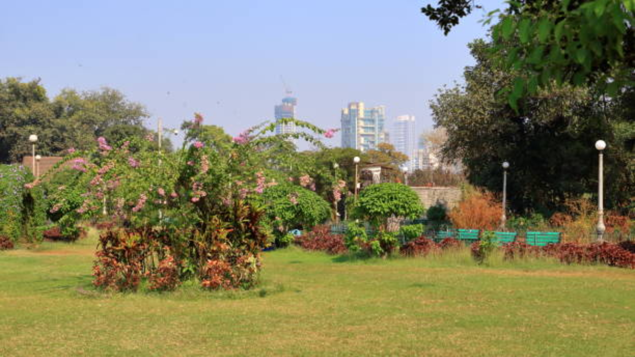 Mumbai's hanging gardens