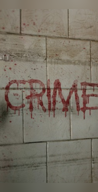 Murders That Shook National Capital