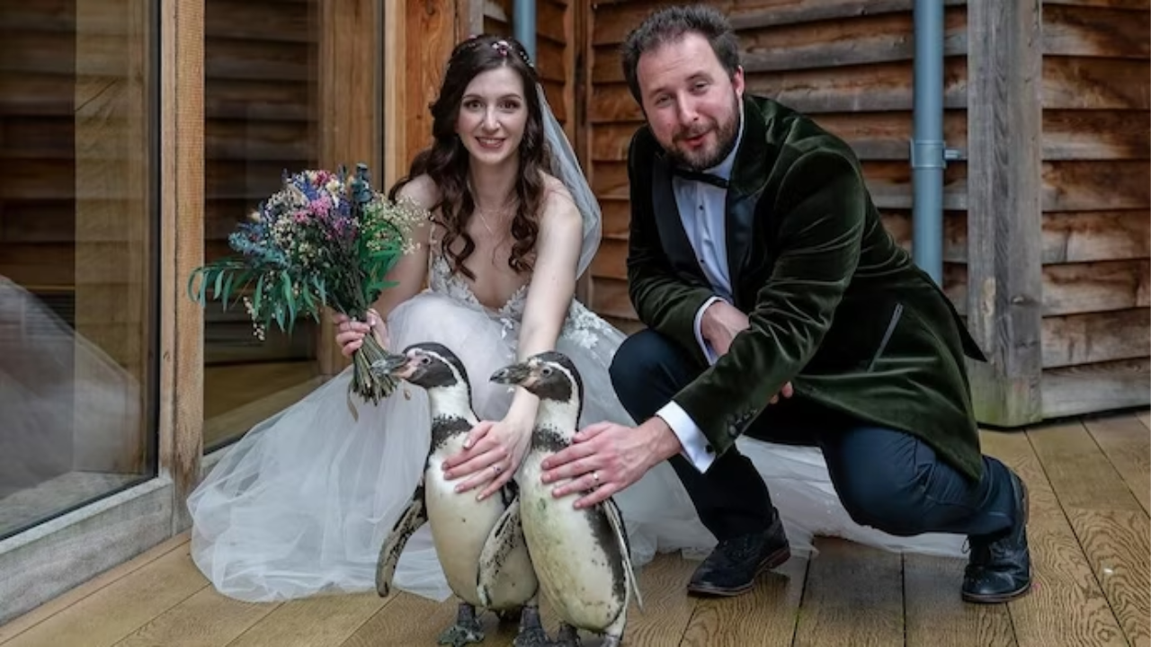 The British couple surprised the guests with a unique ring bearer.