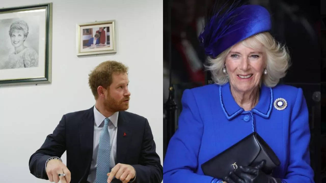 Harry ‘Preferred Not To Be In Same Room’: Queen Camilla's Aide Speaks Out On Duke Of Sussex Meeting Charles